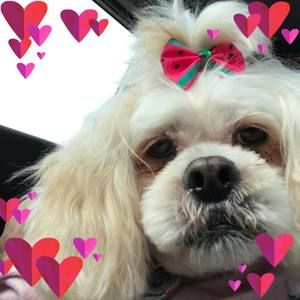 Meet your Posher, Marla